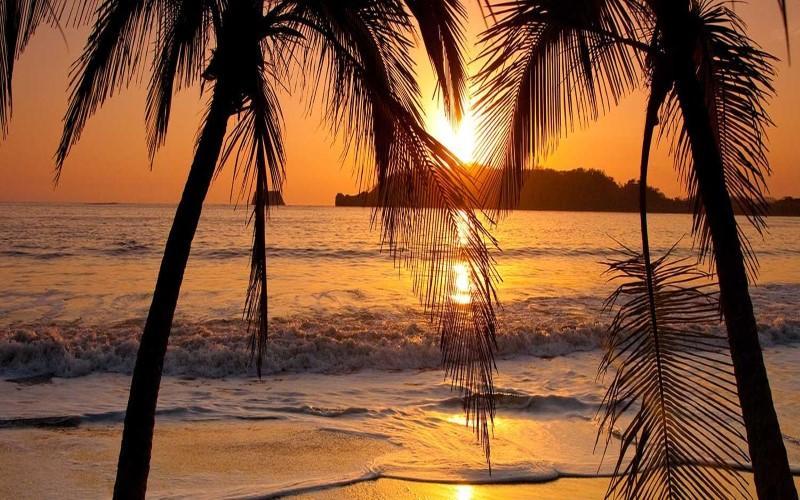 Hotel La Gaviota Tropical 플라야 에르모사 외부 사진